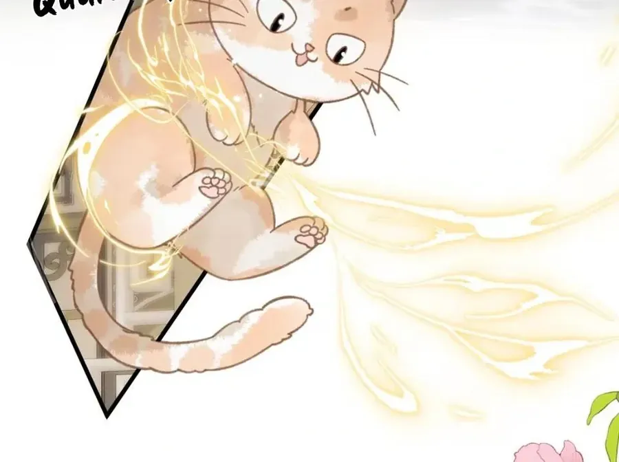 Đến Đông Hải Tìm Mỹ Nhân Chap 52 - Next Chap 51