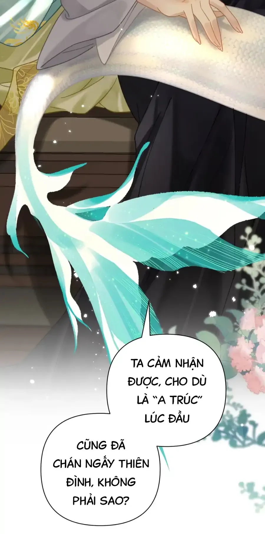 Đến Đông Hải Tìm Mỹ Nhân Chap 52 - Next Chap 51