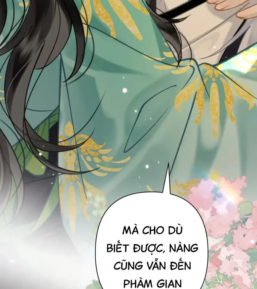 Đến Đông Hải Tìm Mỹ Nhân Chap 52 - Next Chap 51