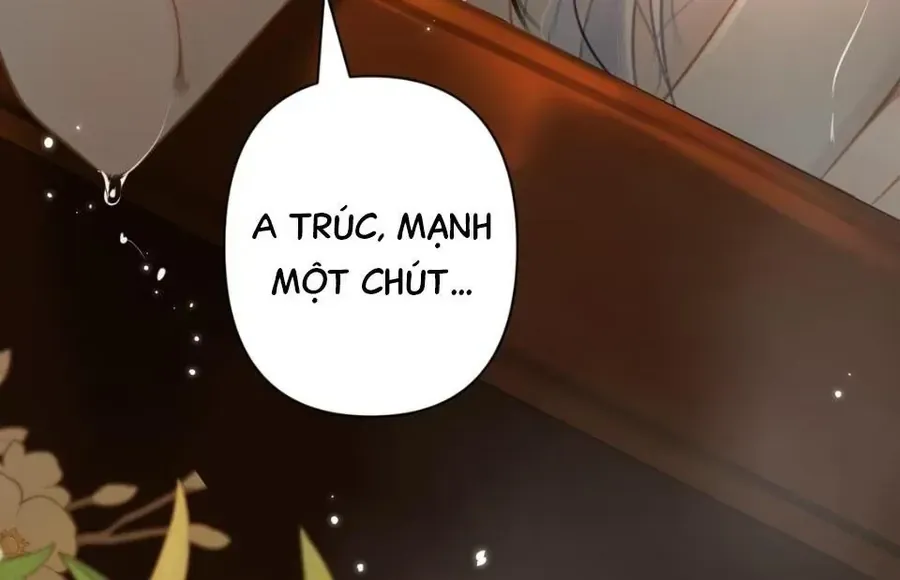 Đến Đông Hải Tìm Mỹ Nhân Chap 53 - Next Chap 52