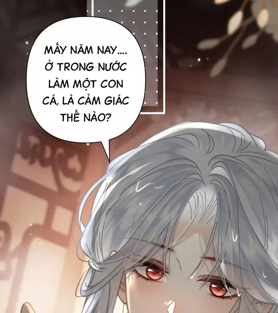 Đến Đông Hải Tìm Mỹ Nhân Chap 53 - Next Chap 52