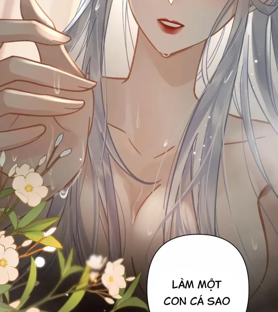 Đến Đông Hải Tìm Mỹ Nhân Chap 53 - Next Chap 52