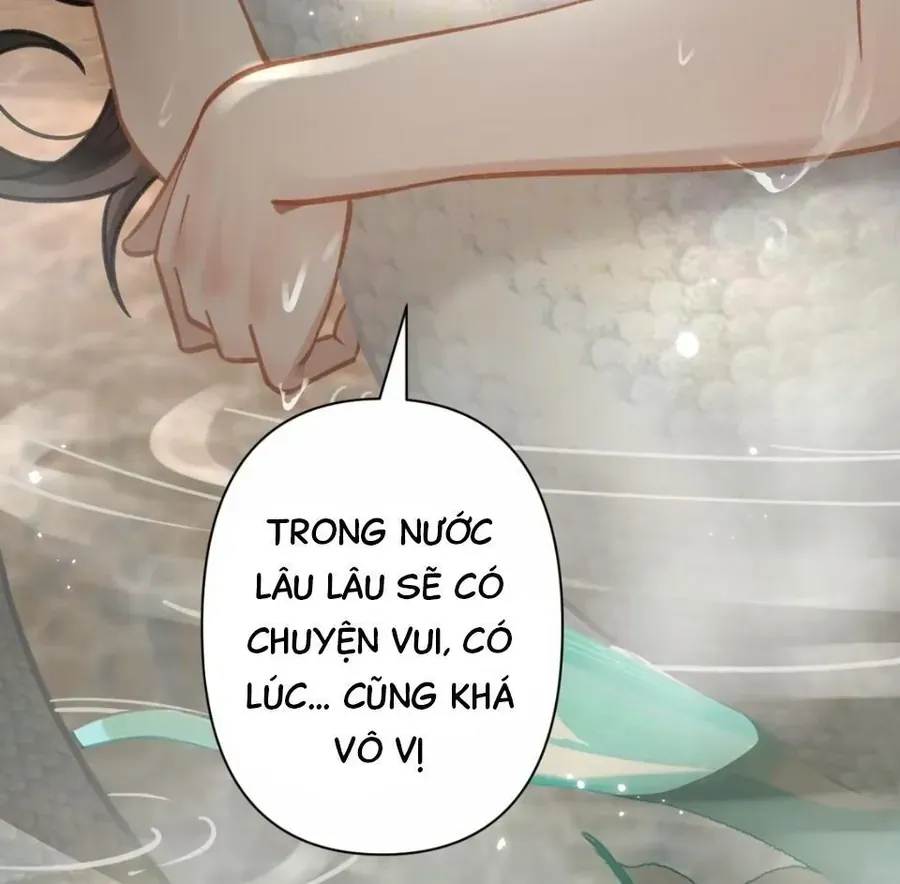 Đến Đông Hải Tìm Mỹ Nhân Chap 53 - Next Chap 52