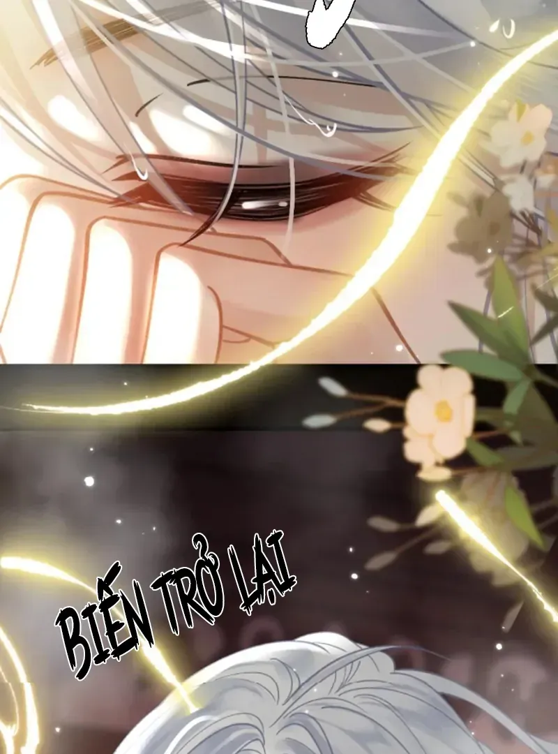 Đến Đông Hải Tìm Mỹ Nhân Chap 54 - Next Chap 53