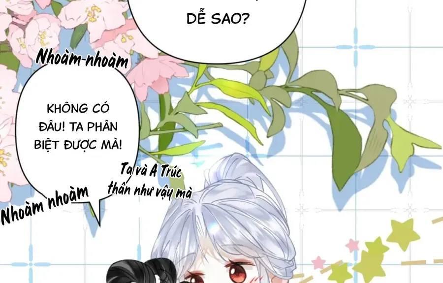 Đến Đông Hải Tìm Mỹ Nhân Chap 55 - Next Chap 54