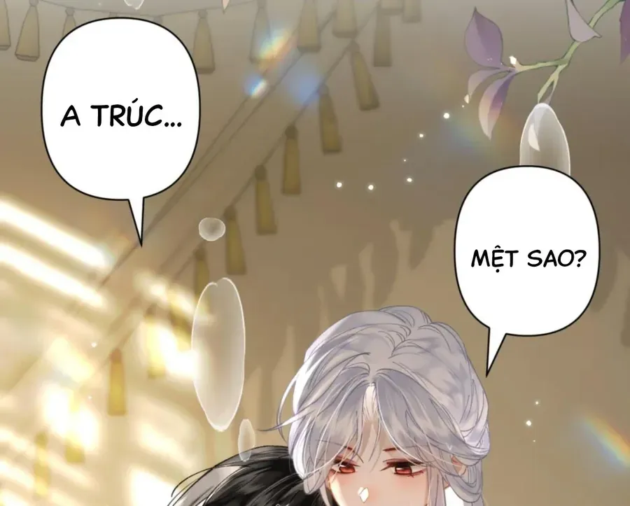 Đến Đông Hải Tìm Mỹ Nhân Chap 55 - Next Chap 54