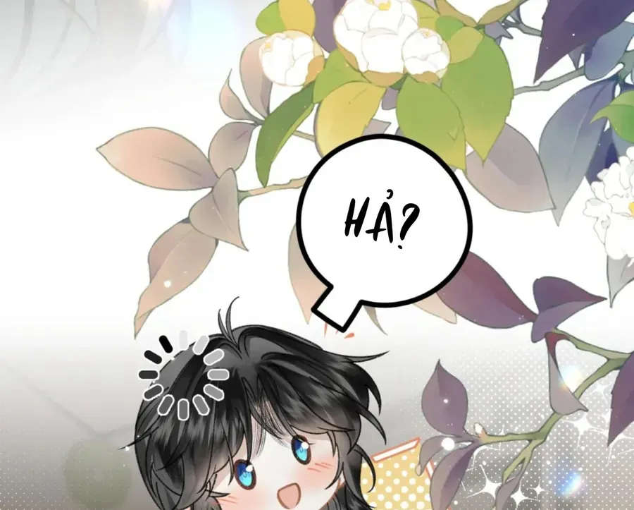 Đến Đông Hải Tìm Mỹ Nhân Chap 55 - Next Chap 54