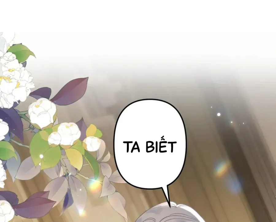 Đến Đông Hải Tìm Mỹ Nhân Chap 55 - Next Chap 54