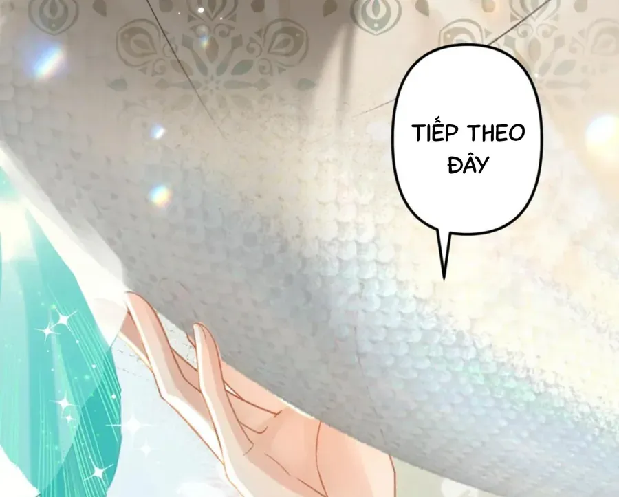 Đến Đông Hải Tìm Mỹ Nhân Chap 55 - Next Chap 54