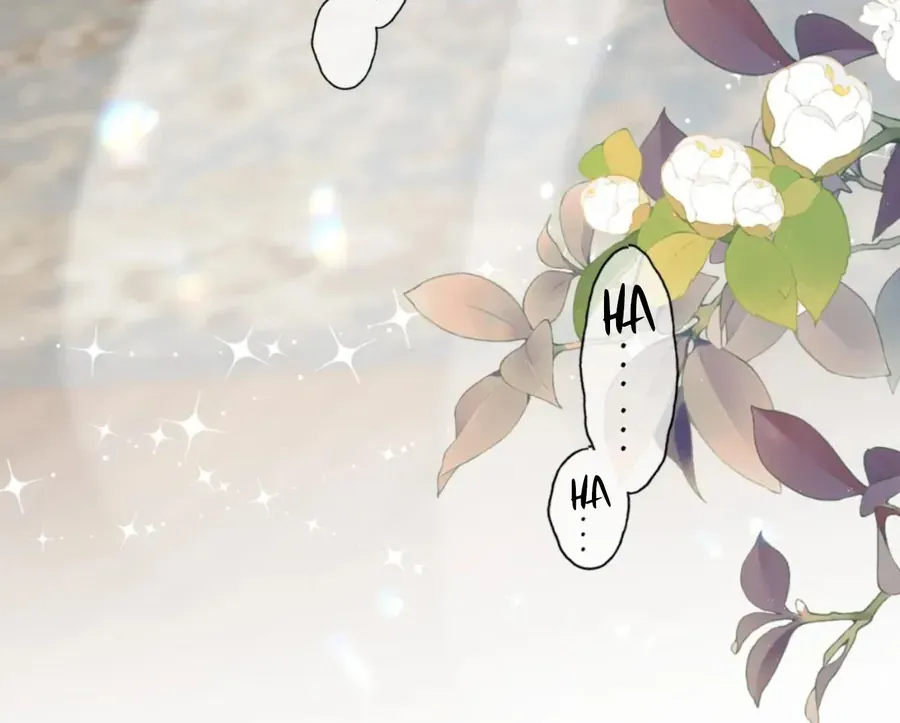 Đến Đông Hải Tìm Mỹ Nhân Chap 55 - Next Chap 54