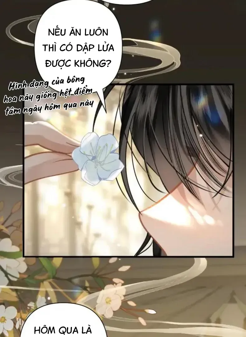 Đến Đông Hải Tìm Mỹ Nhân Chap 56 - Next Chap 55