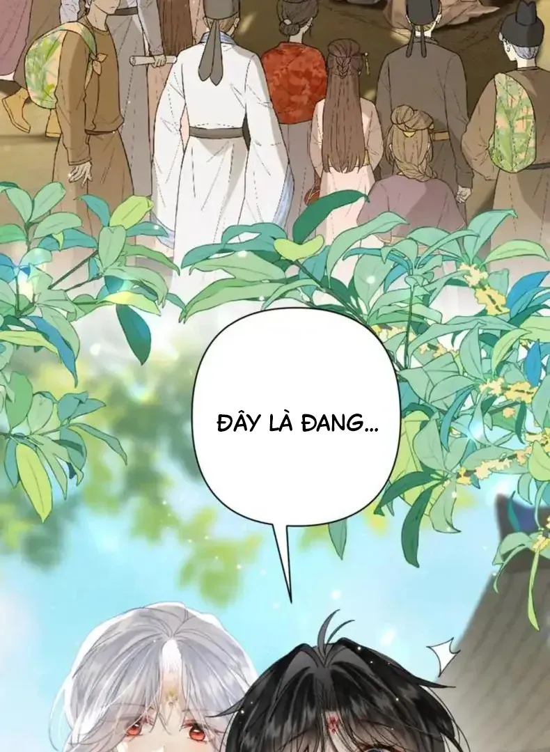 Đến Đông Hải Tìm Mỹ Nhân Chap 56 - Next Chap 55