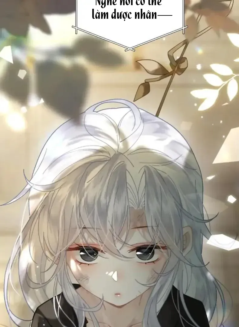 Đến Đông Hải Tìm Mỹ Nhân Chap 56 - Next Chap 55