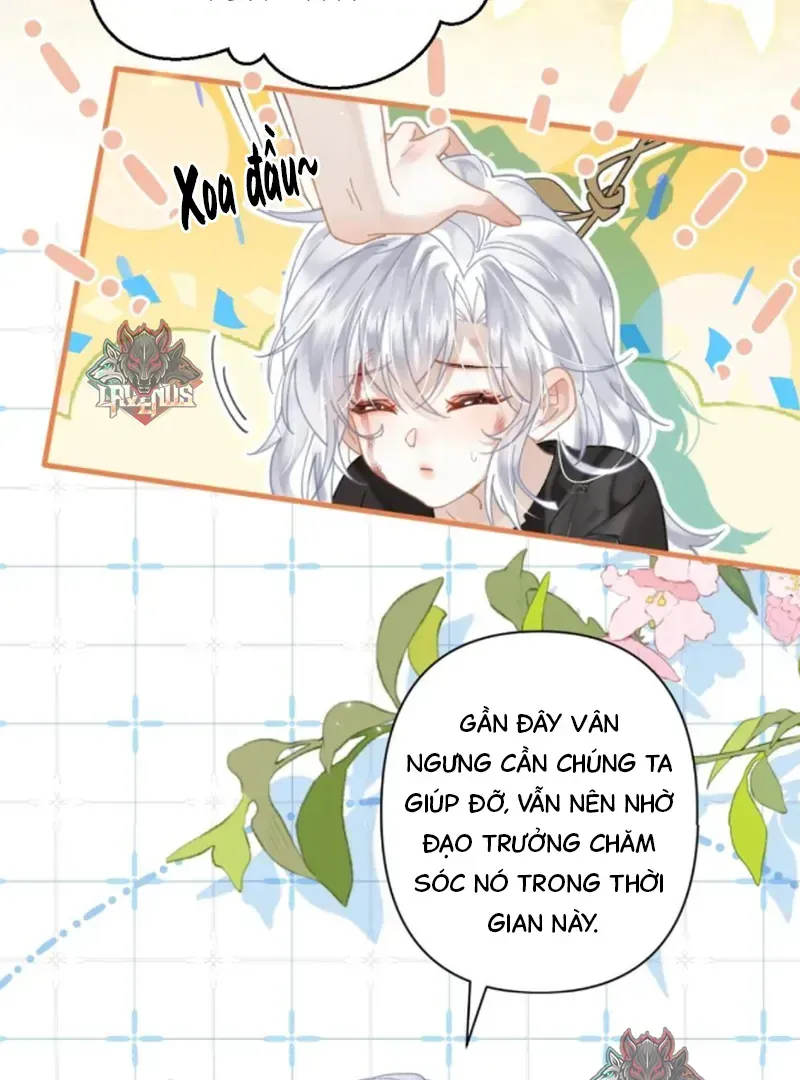 Đến Đông Hải Tìm Mỹ Nhân Chap 57 - Next Chap 56