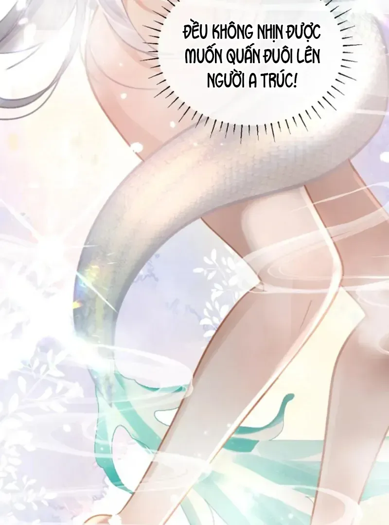 Đến Đông Hải Tìm Mỹ Nhân Chap 57 - Next Chap 56