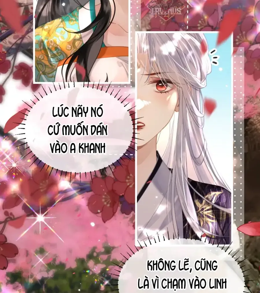 Đến Đông Hải Tìm Mỹ Nhân Chap 58 - Next Chap 57