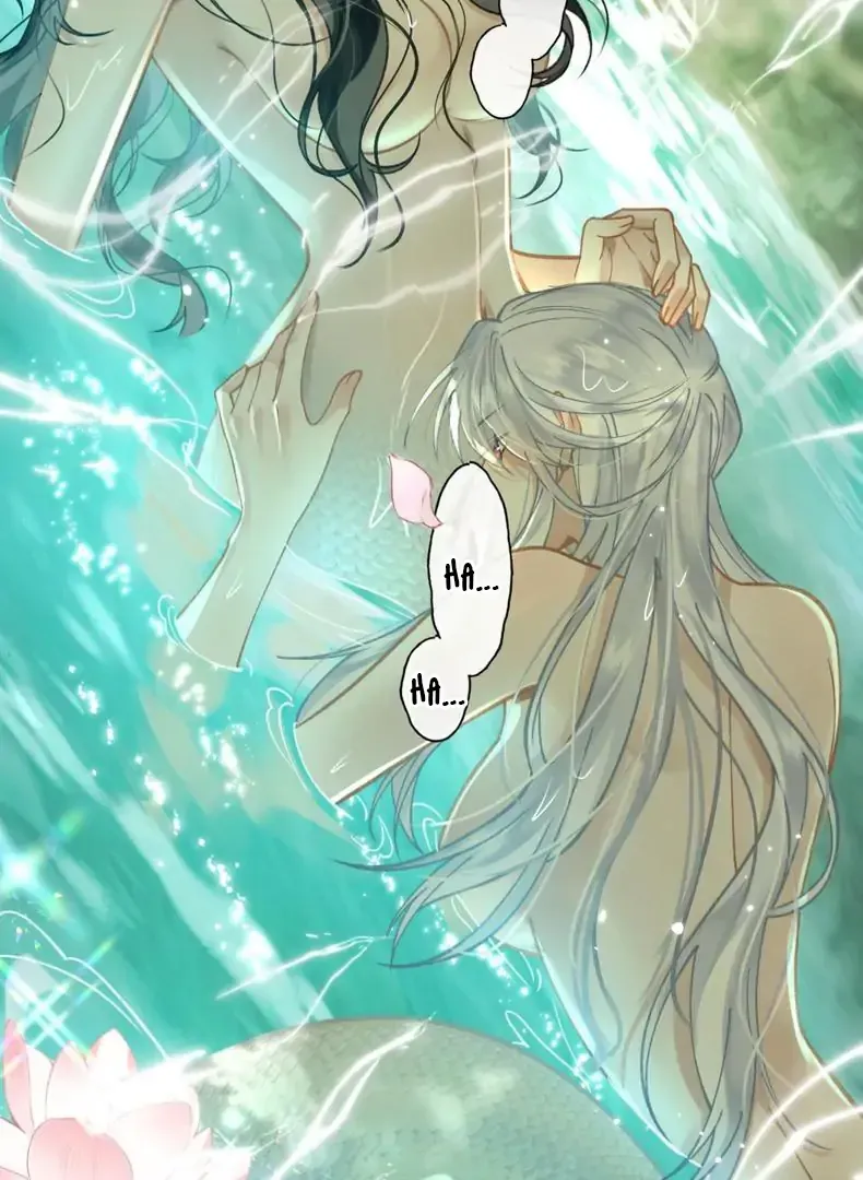 Đến Đông Hải Tìm Mỹ Nhân Chap 59 - Next Chap 58