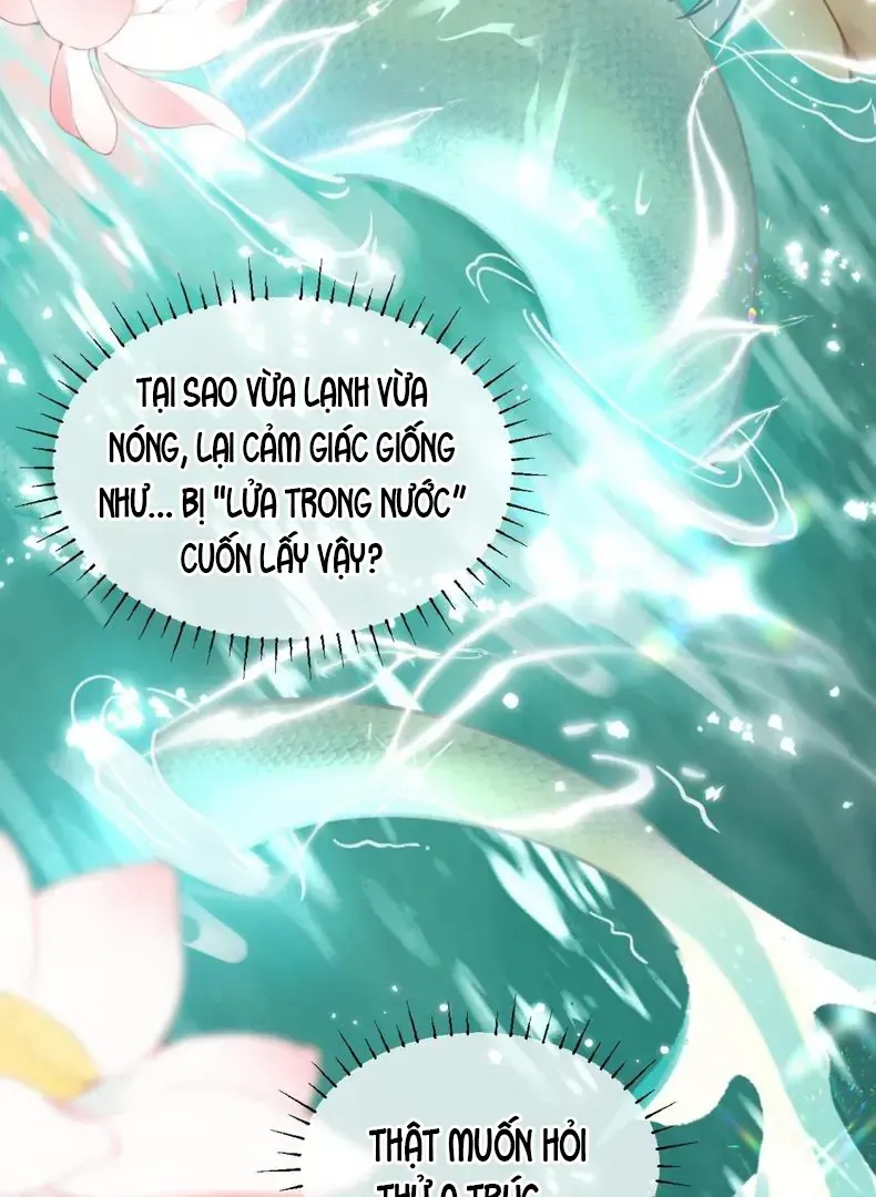 Đến Đông Hải Tìm Mỹ Nhân Chap 59 - Next Chap 58