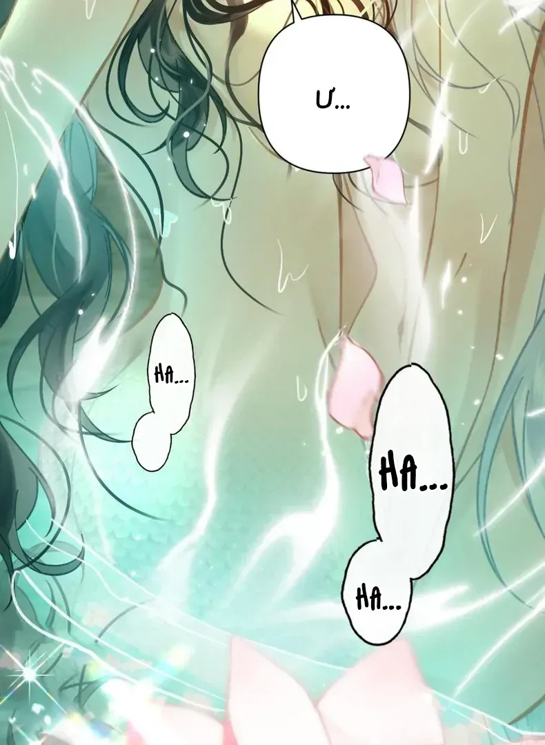 Đến Đông Hải Tìm Mỹ Nhân Chap 59 - Next Chap 58