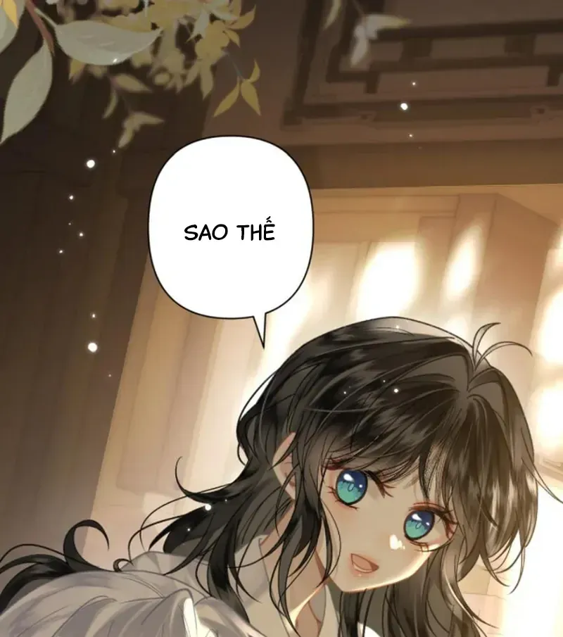 Đến Đông Hải Tìm Mỹ Nhân Chap 62 - Next Chap 61