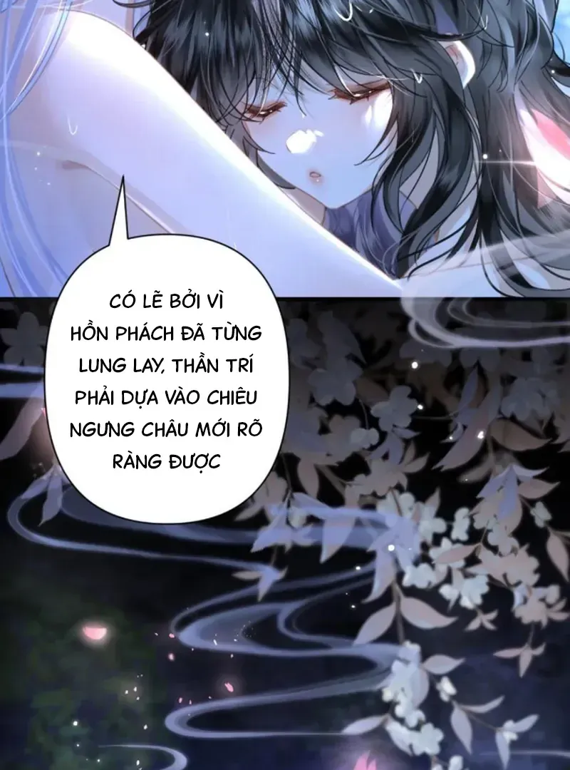 Đến Đông Hải Tìm Mỹ Nhân Chap 62 - Next Chap 61