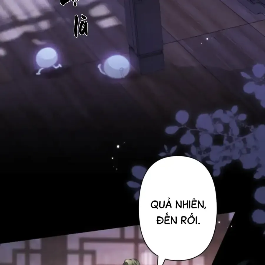 Đến Đông Hải Tìm Mỹ Nhân Chap 63 - Next Chap 62