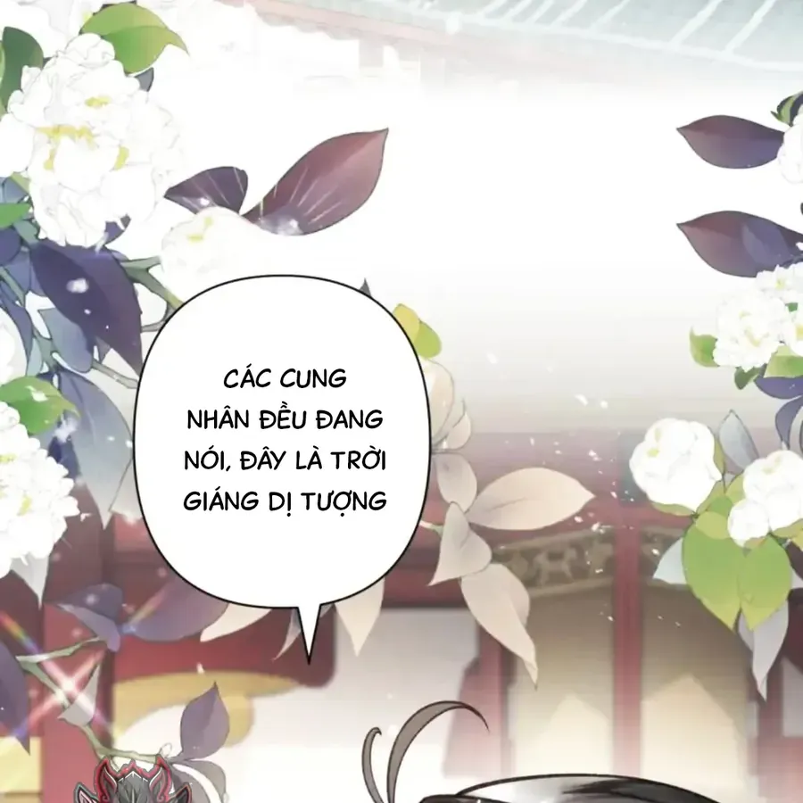 Đến Đông Hải Tìm Mỹ Nhân Chap 63 - Next Chap 62