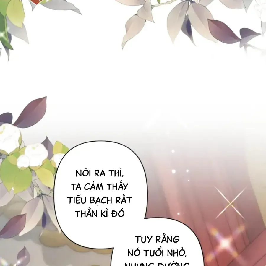 Đến Đông Hải Tìm Mỹ Nhân Chap 63 - Next Chap 62