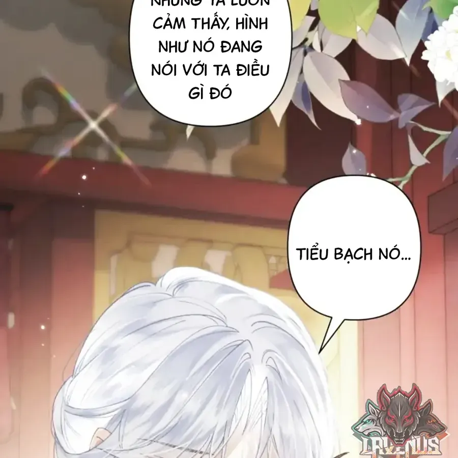 Đến Đông Hải Tìm Mỹ Nhân Chap 63 - Next Chap 62