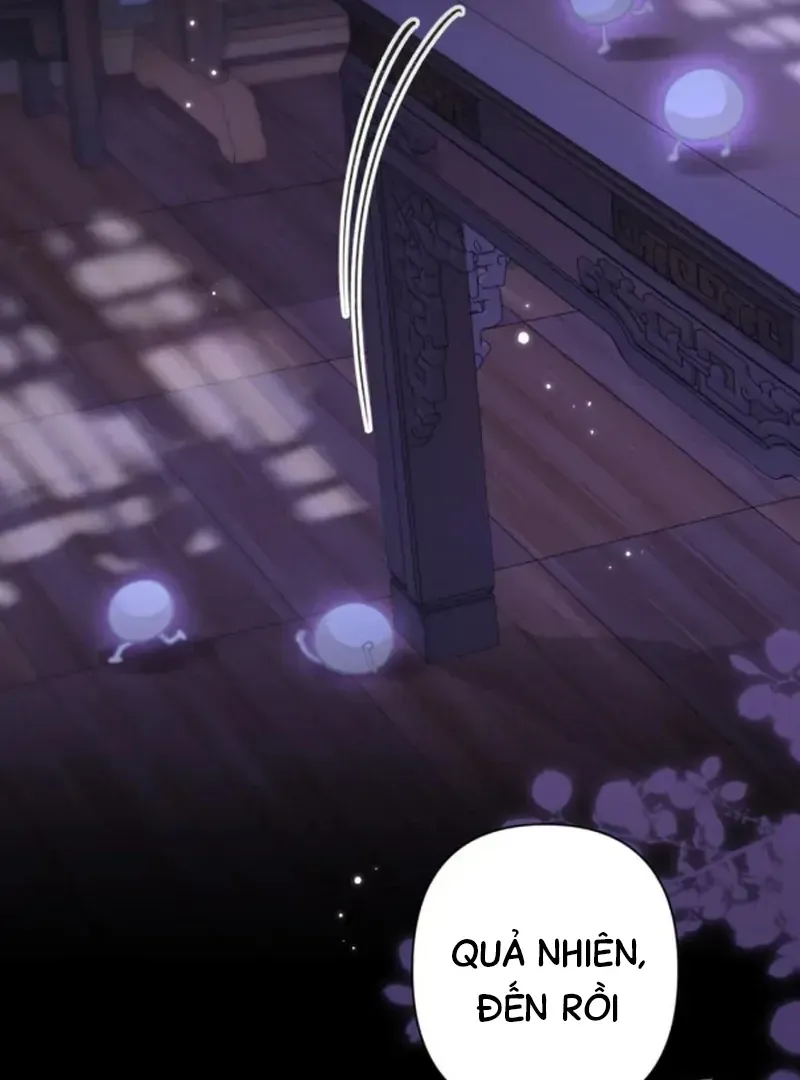 Đến Đông Hải Tìm Mỹ Nhân Chap 64 - Next Chap 63