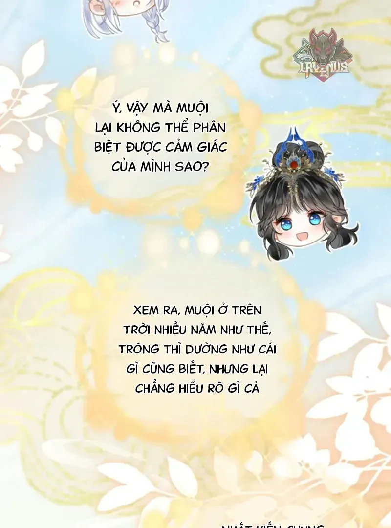 Đến Đông Hải Tìm Mỹ Nhân Chap 66 - Next Chap 65