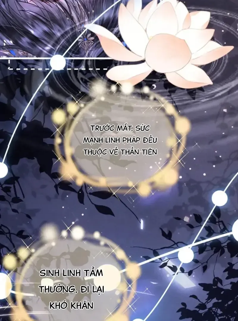 Đến Đông Hải Tìm Mỹ Nhân Chap 66 - Next Chap 65