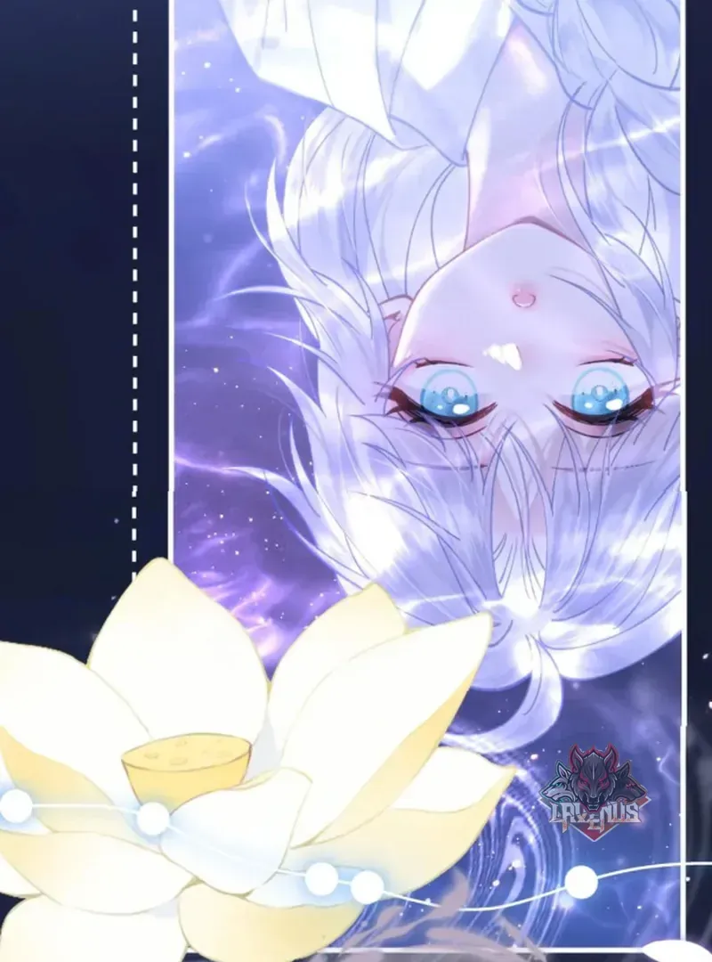 Đến Đông Hải Tìm Mỹ Nhân Chap 66 - Next Chap 65