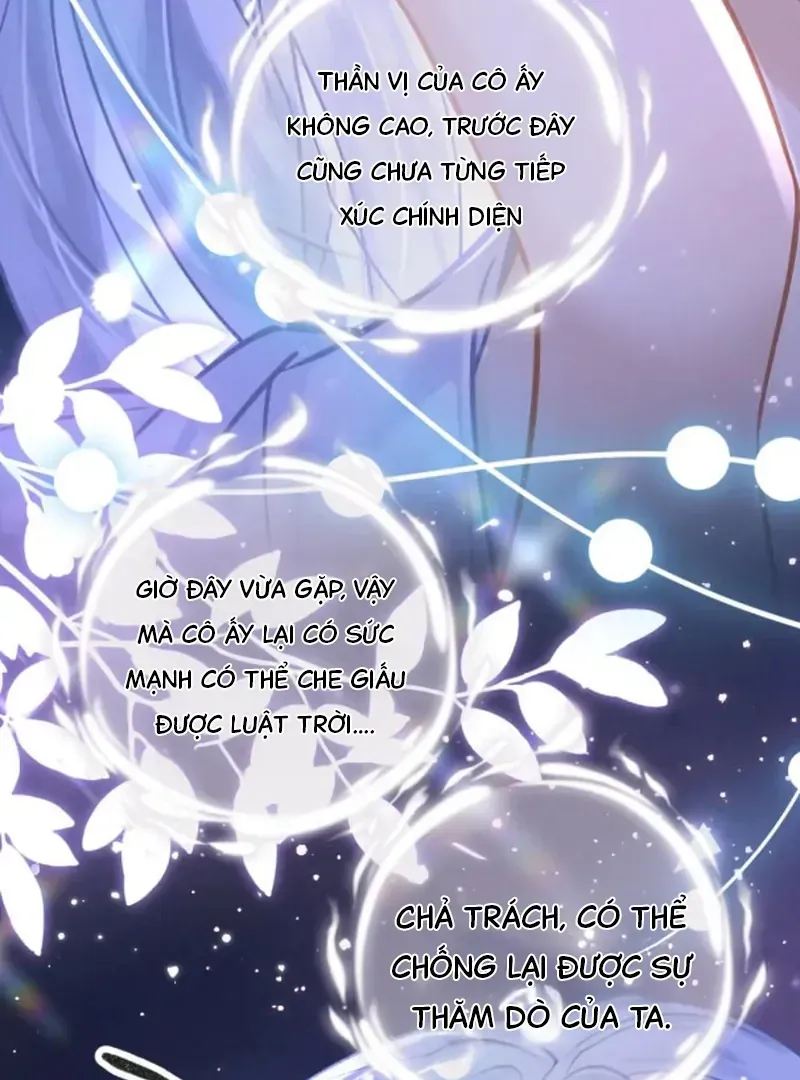 Đến Đông Hải Tìm Mỹ Nhân Chap 66 - Next Chap 65