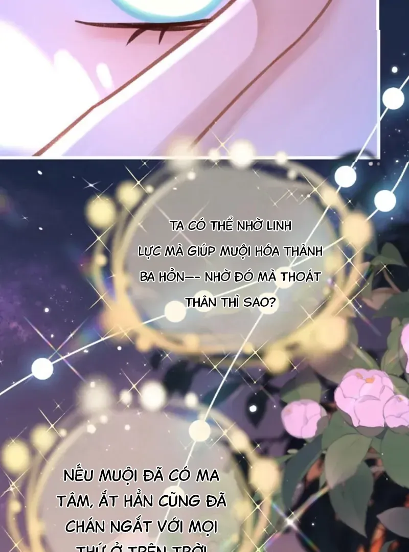 Đến Đông Hải Tìm Mỹ Nhân Chap 66 - Next Chap 65