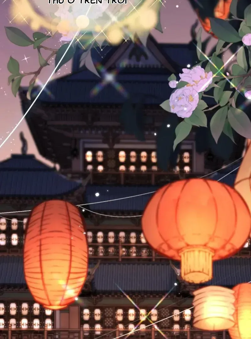 Đến Đông Hải Tìm Mỹ Nhân Chap 66 - Next Chap 65