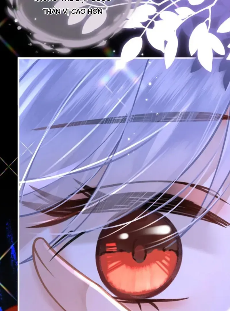 Đến Đông Hải Tìm Mỹ Nhân Chap 66 - Next Chap 65