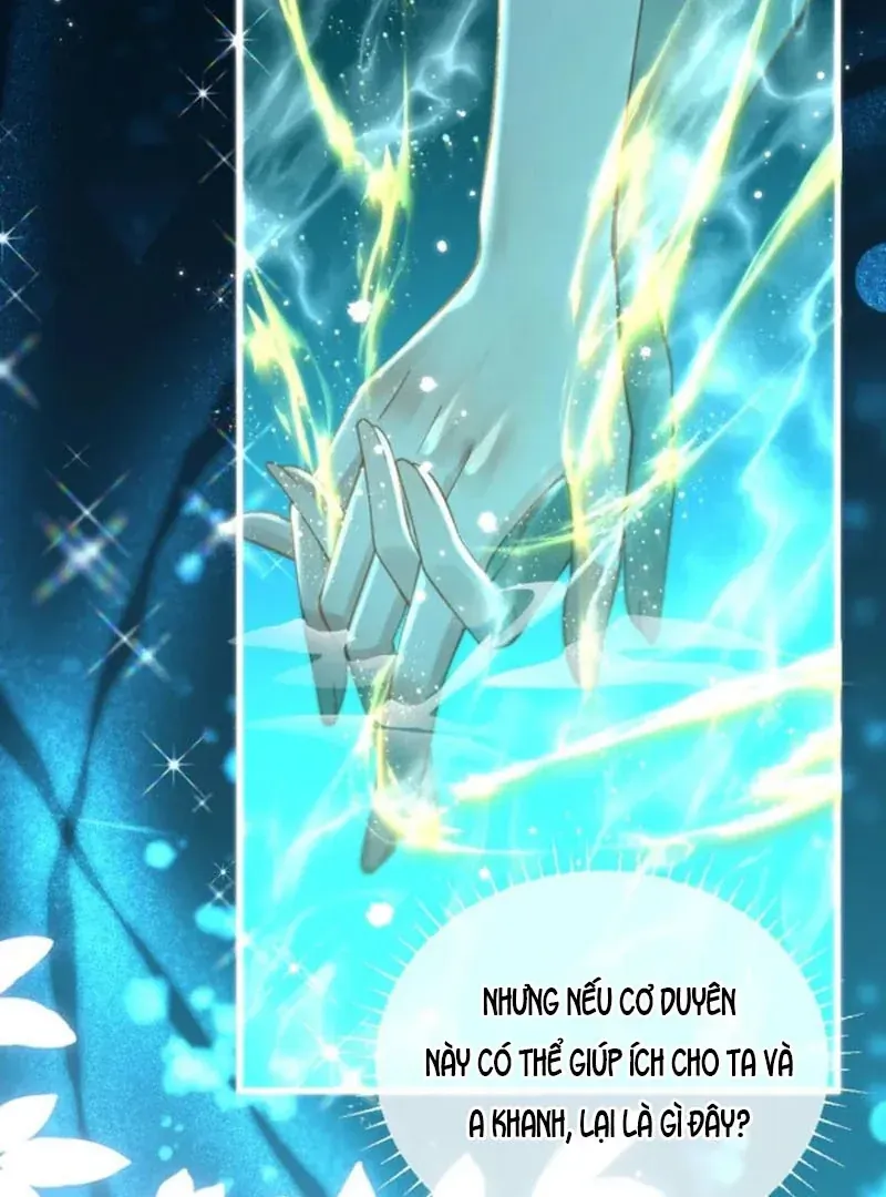 Đến Đông Hải Tìm Mỹ Nhân Chap 67 - Next Chap 66