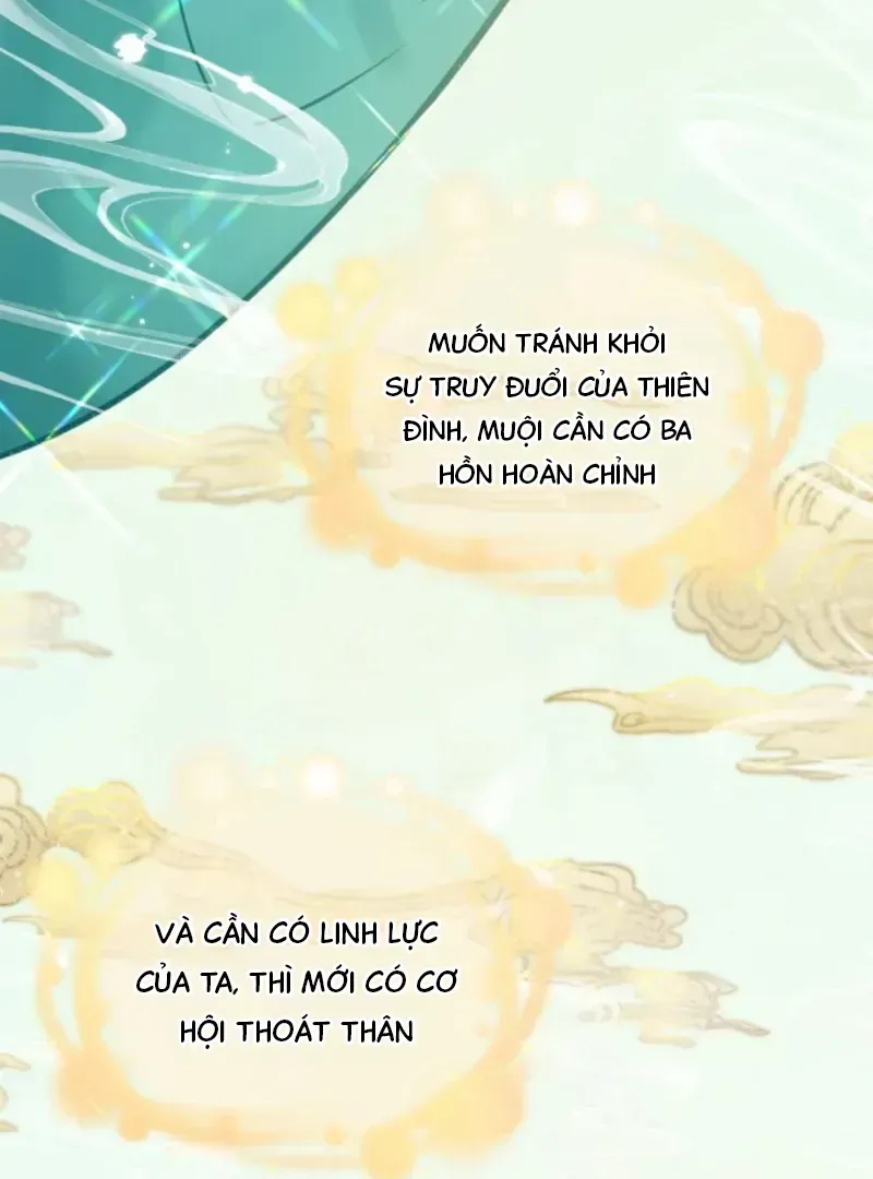 Đến Đông Hải Tìm Mỹ Nhân Chap 68 - Next Chap 67