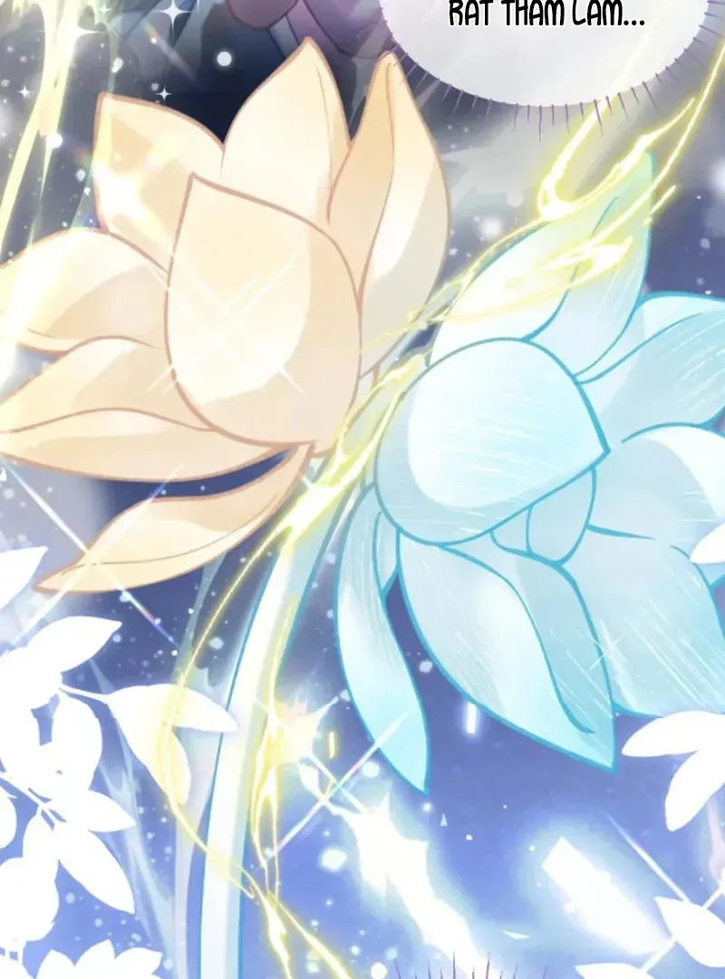 Đến Đông Hải Tìm Mỹ Nhân Chap 68 - Next Chap 67