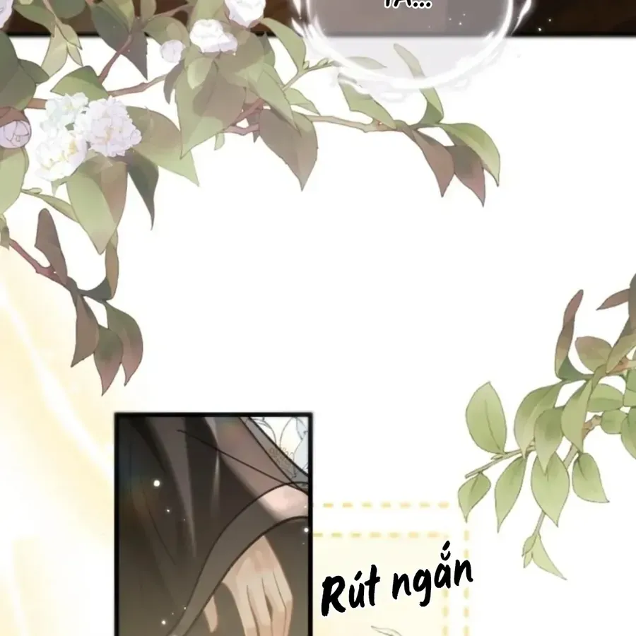 Đến Đông Hải Tìm Mỹ Nhân Chap 69 - Next Chap 68