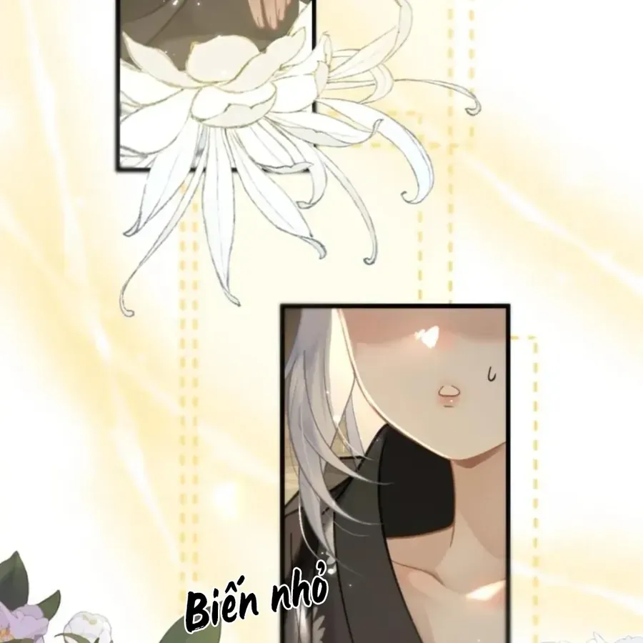 Đến Đông Hải Tìm Mỹ Nhân Chap 69 - Next Chap 68