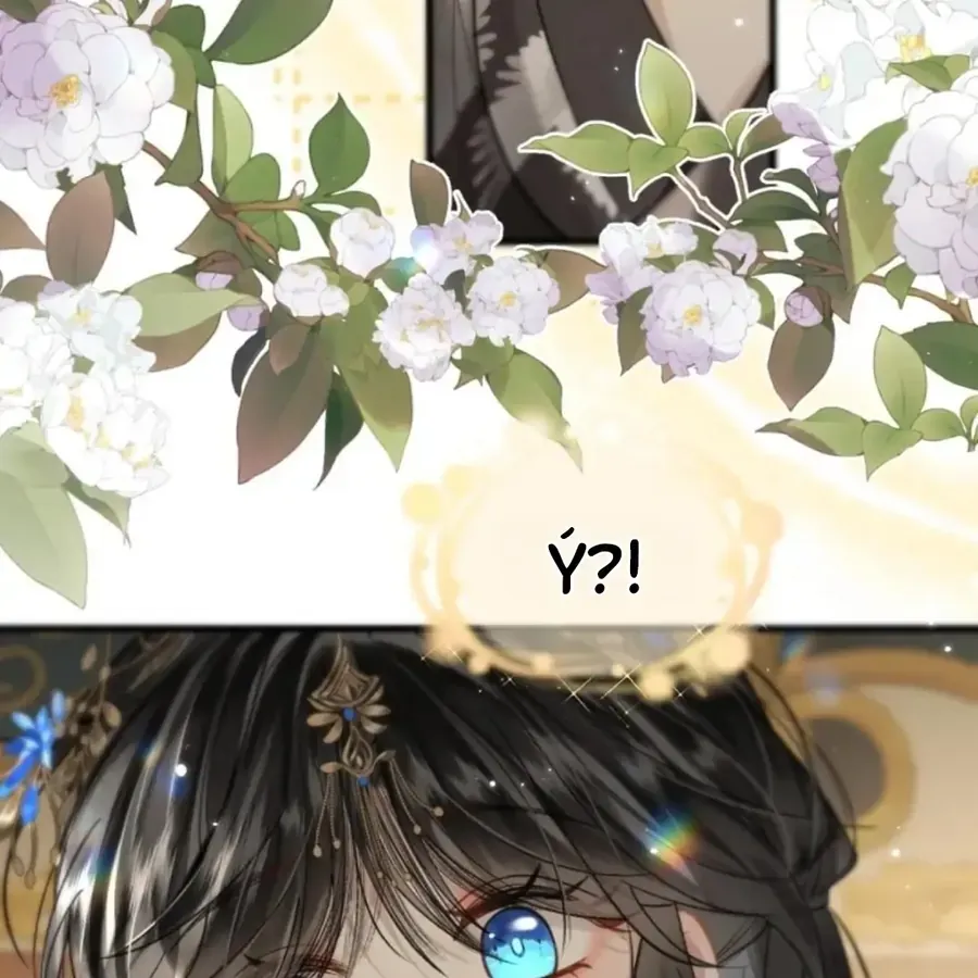 Đến Đông Hải Tìm Mỹ Nhân Chap 69 - Next Chap 68