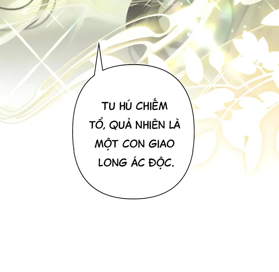 Đến Đông Hải Tìm Mỹ Nhân Chap 70 - Next Chap 69