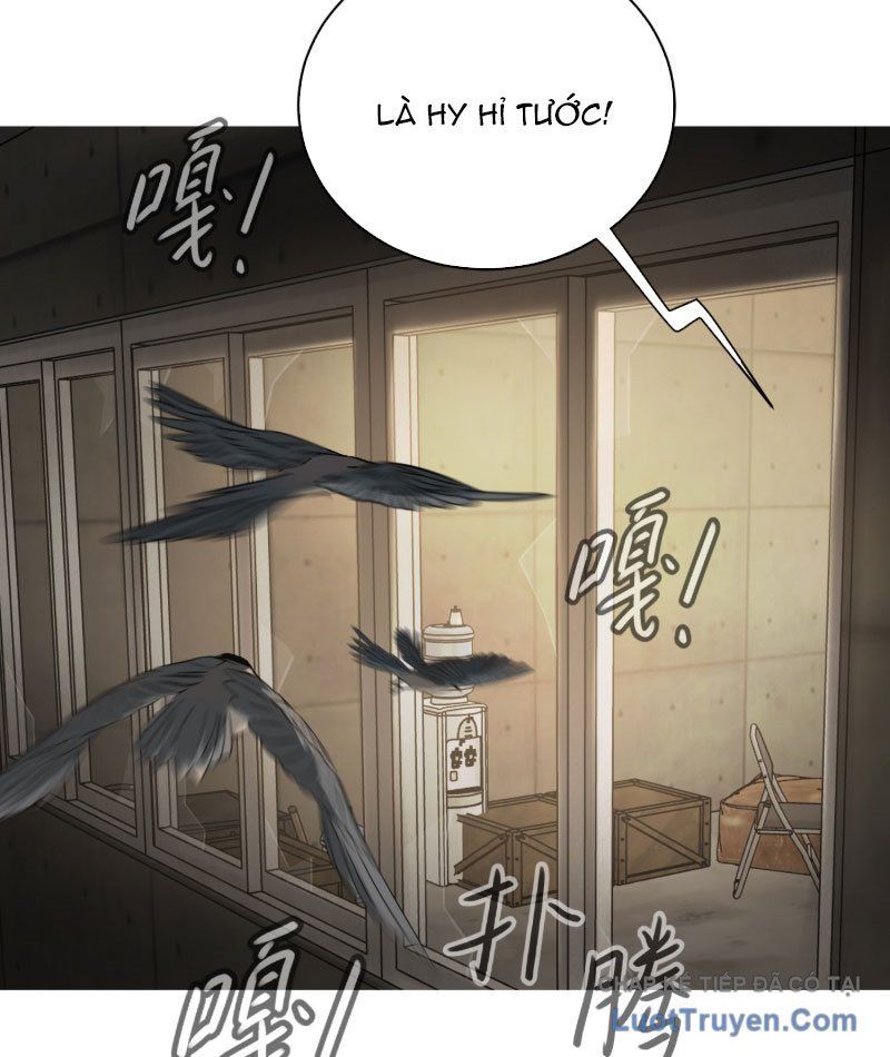 Ác Chi Hoàn Chap 72 - Next Chap 71