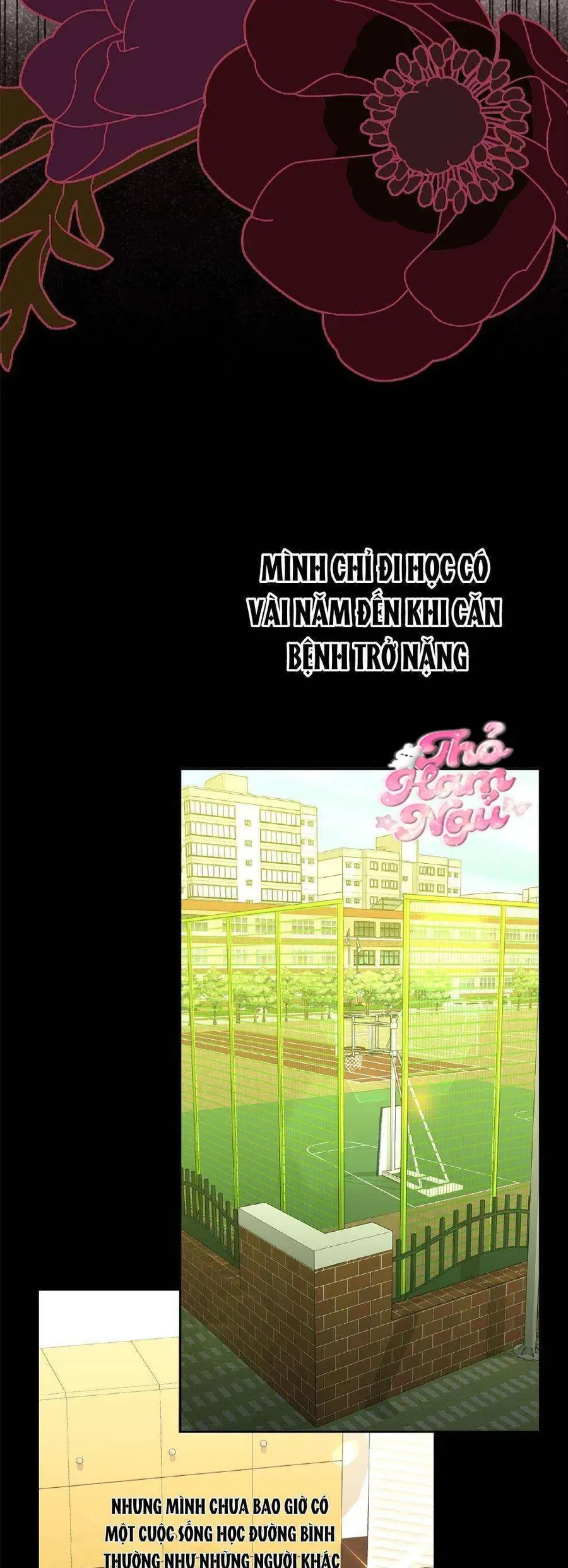 Có Nhiều Nam Chính Quá Đi! Chap 30 - Next Chap 29