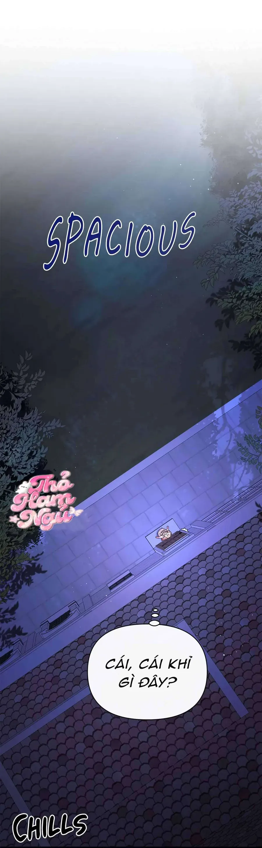 Có Nhiều Nam Chính Quá Đi! Chap 8 - Next Chap 7