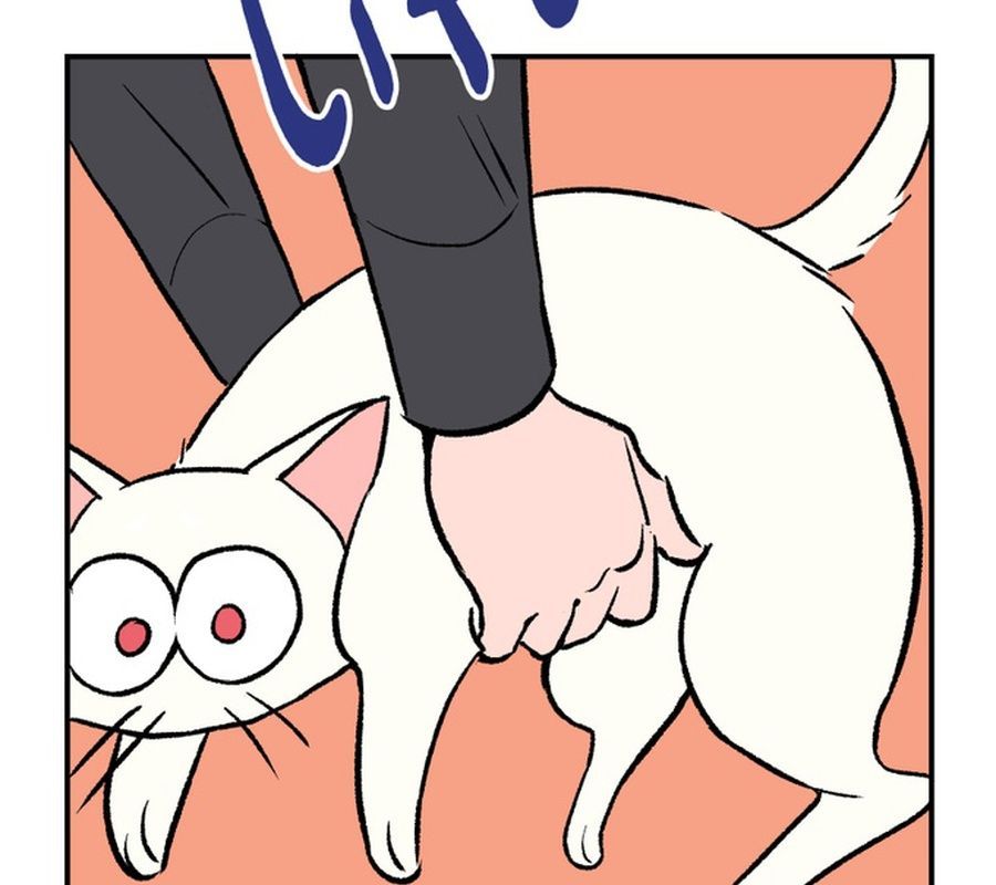 Morgana And Oz Chap 12 - Next Chap 11