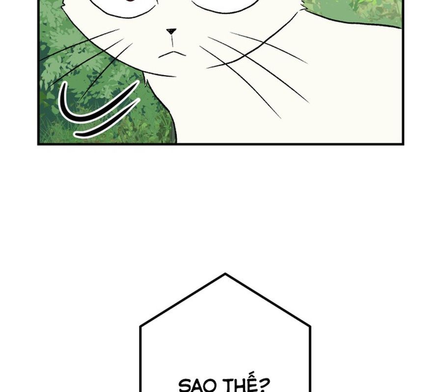 Morgana And Oz Chap 13 - Next Chap 12