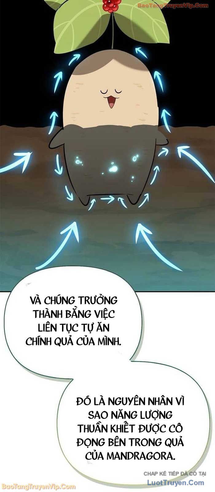 Healer Cấp S Chữa Trị Cho Quái Vật Chap 23 - Next Chap 22